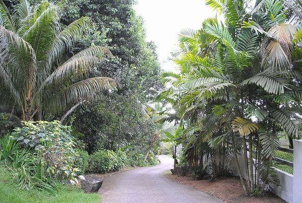 Kokogrove Chalets Villa Anse Royale Exterior photo